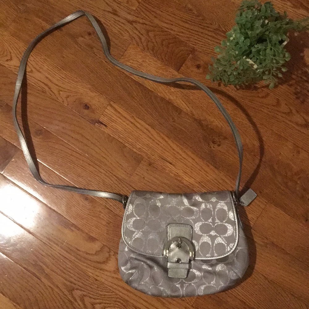Small Crossbody Coach Purse